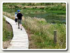 Well formed walking track by the river